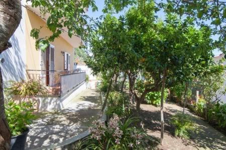 B&B Miccio Sorrento Exterior foto